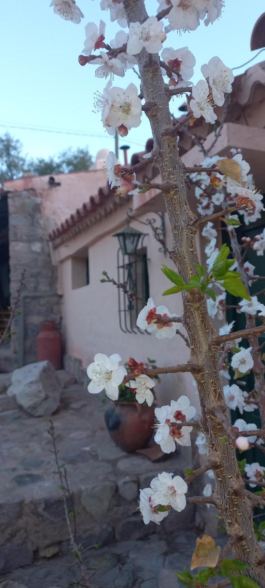 Los Arcabuceros Casa Hotel Boutique Тилькара Екстер'єр фото