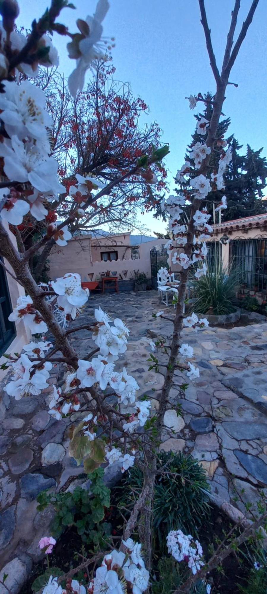 Los Arcabuceros Casa Hotel Boutique Тилькара Екстер'єр фото