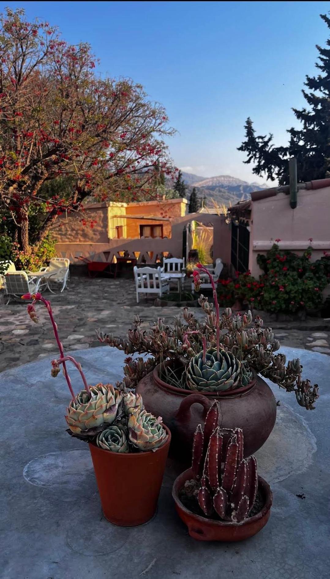 Los Arcabuceros Casa Hotel Boutique Тилькара Екстер'єр фото